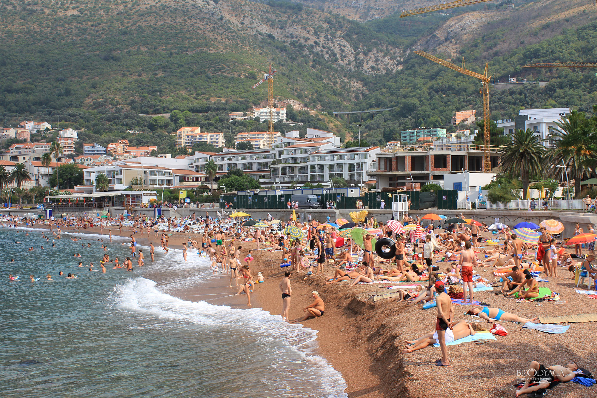 Petrovac (Петровац)